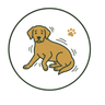 Dog having trouble settling down